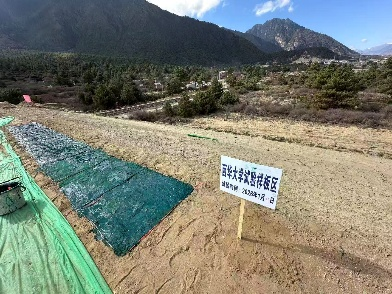 1773302982288066920.png 图片2.png